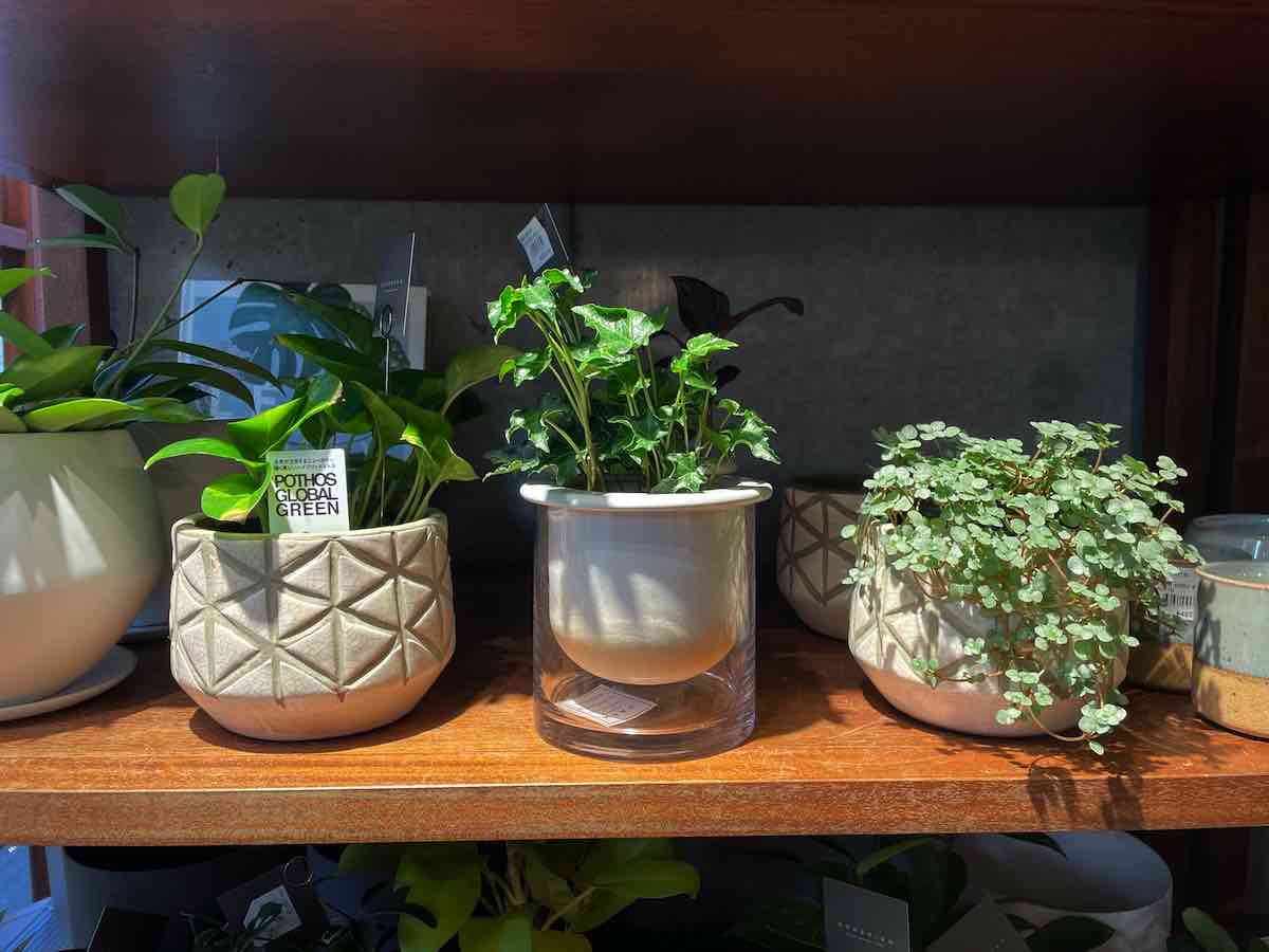 アクタス Actus 写真2 2 吉祥寺 Kichijoji Go