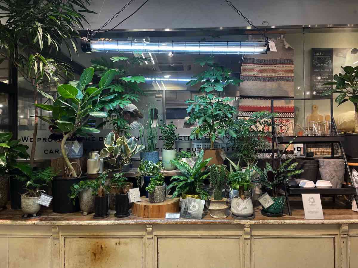 ジャーナルスタンダード Journal Standard Furniture Etc 国内外ブランド家具が充実 吉祥寺 Kichijoji Go ジャーナルスタンダード Journal Standard Furniture Etc 国内外ブランド家具が充実 吉祥寺 Kichijoji Go