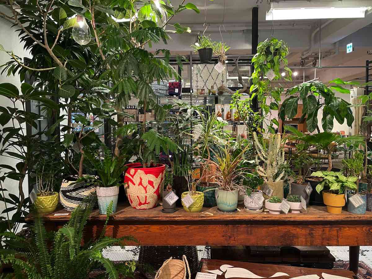 ジャーナルスタンダード Journal Standard Furniture Etc 国内外ブランド家具が充実 吉祥寺 Kichijoji Go