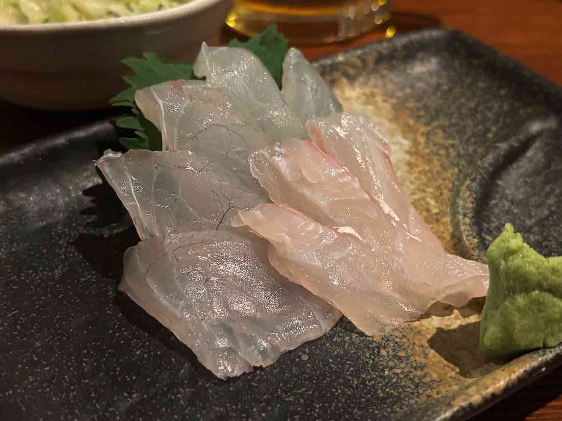 コチ刺身