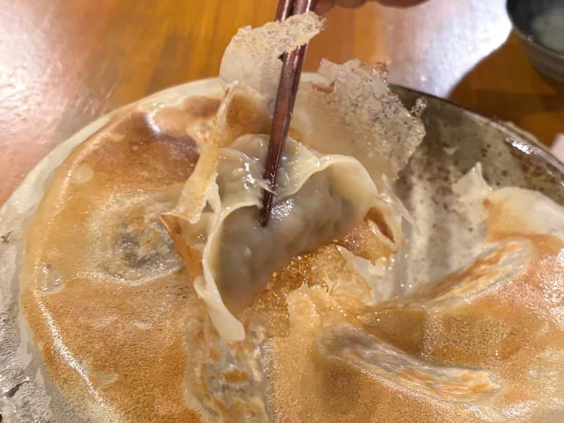 革餃子(羽根付焼餃子)