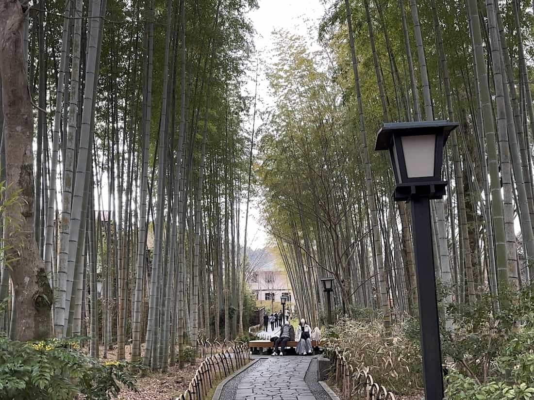 竹林の小径