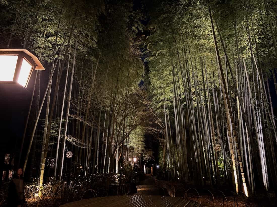竹林の小径
