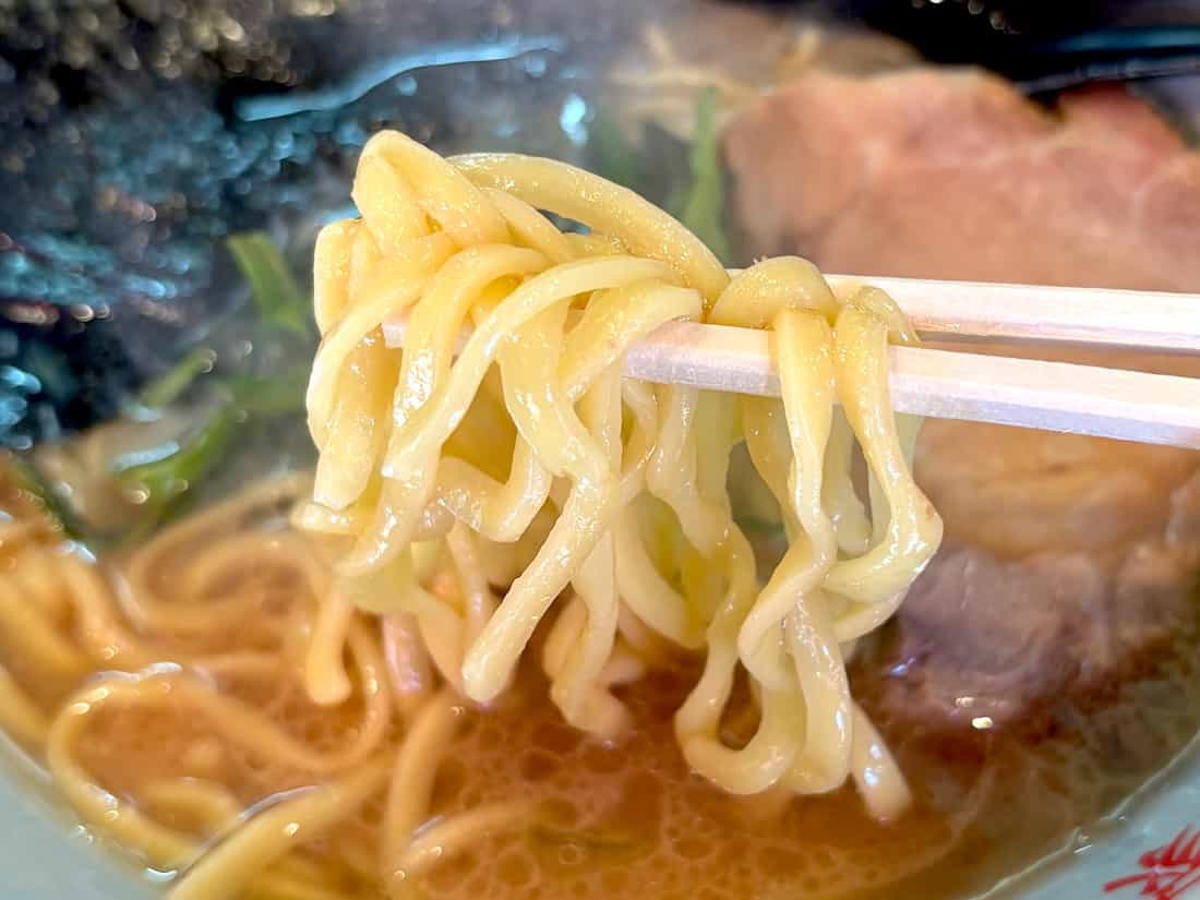 酒井製麺の麺
