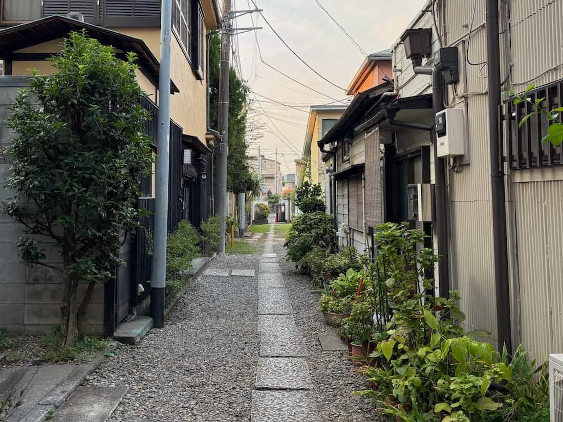 お店に続く道