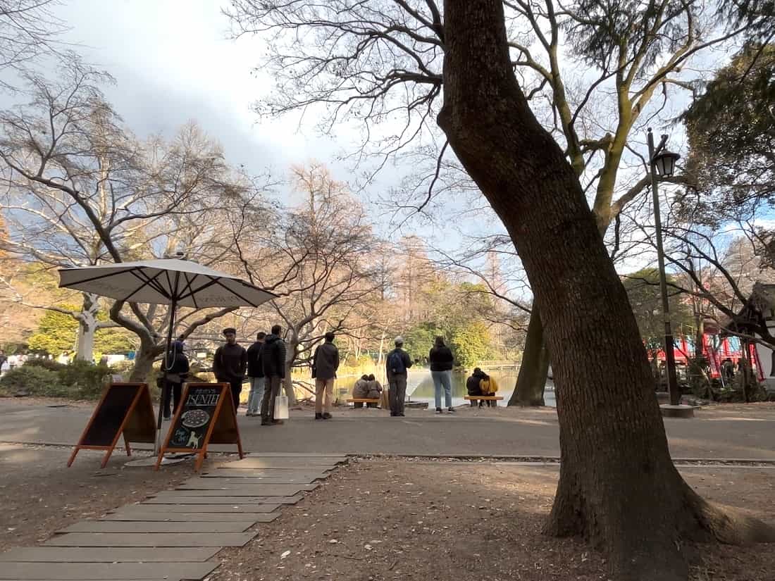 店内からの景色